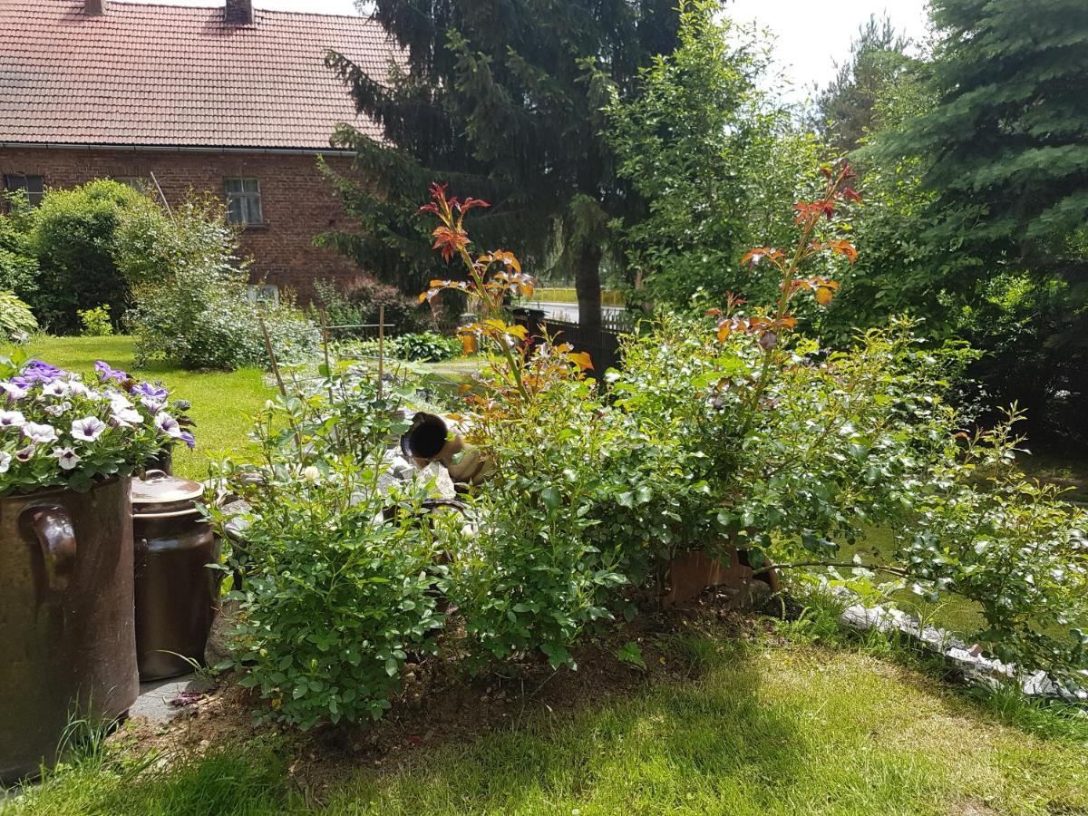 Wczasowisko Karola Appartement Lubomierz  Buitenkant foto